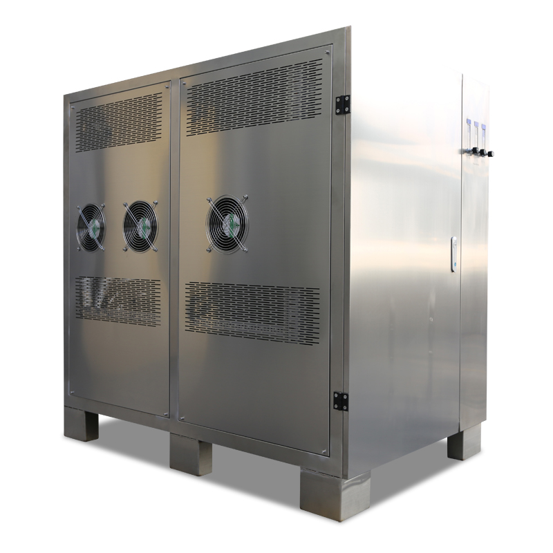 200G污水处理臭氧机