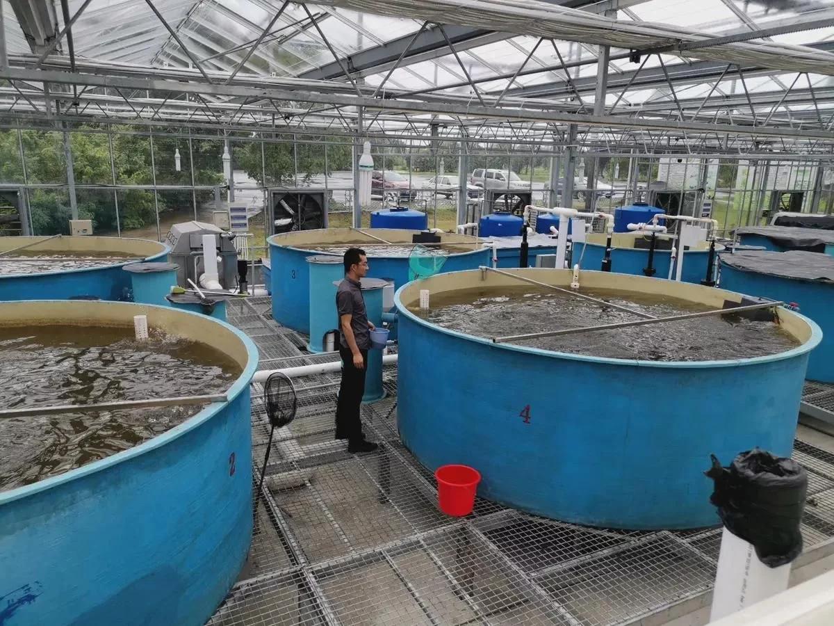 臭氧在水产养殖水处理中应用