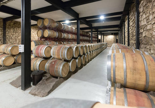 臭氧发生器在葡萄酒业中的杀菌消毒应用